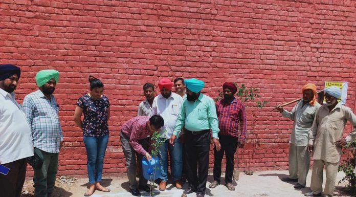 Nakodar SDM initiates Plantation Drive in Sub Div Complex