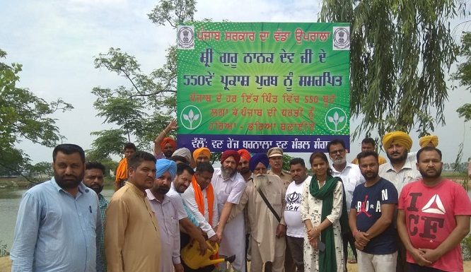 Green Punjab: Tandrust Punjab moves fast in Sangrur Forest Division