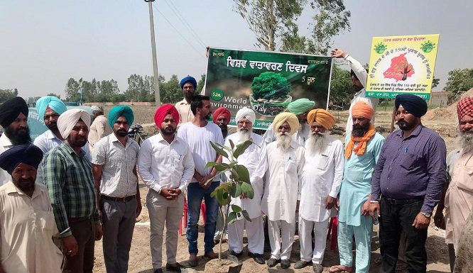 World Environment Day celebrated at 11 different villages by Sangrur Forest Division.
