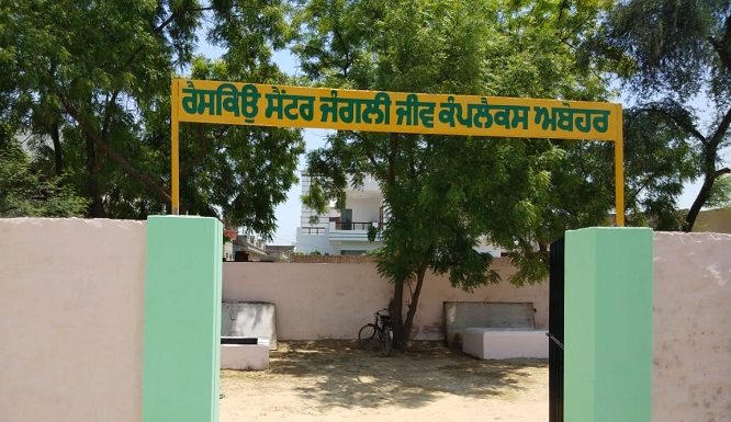 How Forest & Wild Life Women Officers are making efforts to save a Sanctuary from its decline