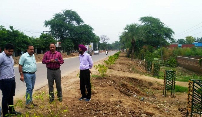 Forest Department Embarks Major Campaign to Spruce up roads leading to Sultanpur Lodhi by planting 30000 trees