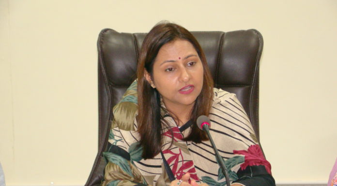 Floating Light & Sound Show, 100 feet long model to be erected in Beas River