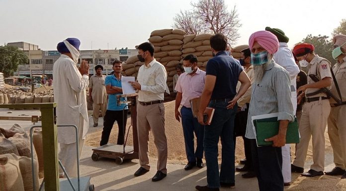 Markfed MD Varun Roojam Reviews Procurement Arrangements in Rajpura Mandi