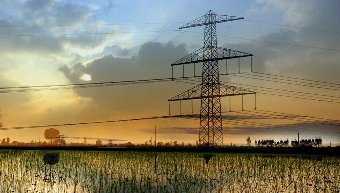 ਪੰਜਾਬ ਸਟੇਟ ਪਾਵਰ ਕਾਰਪੋਰੇਸ਼ਨ ਲਿਮਟਿਡ ਨੇ ਕਿਸਾਨ ਵੀਰਾਂ ਨੂੰ ਇੱਕ ਅਪੀਲ