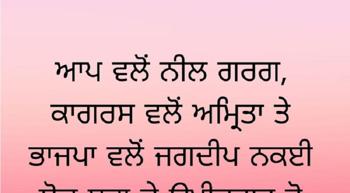 ਲੋਕ ਸਭਾ ਚੋਣਾਂ ਲਈ ਉਮੀਦਵਾਰਾਂ ਦੇ ਨਾਂਵਾਂ ਦੇ ਚਰਚੇ ਸ਼ੁਰੂ